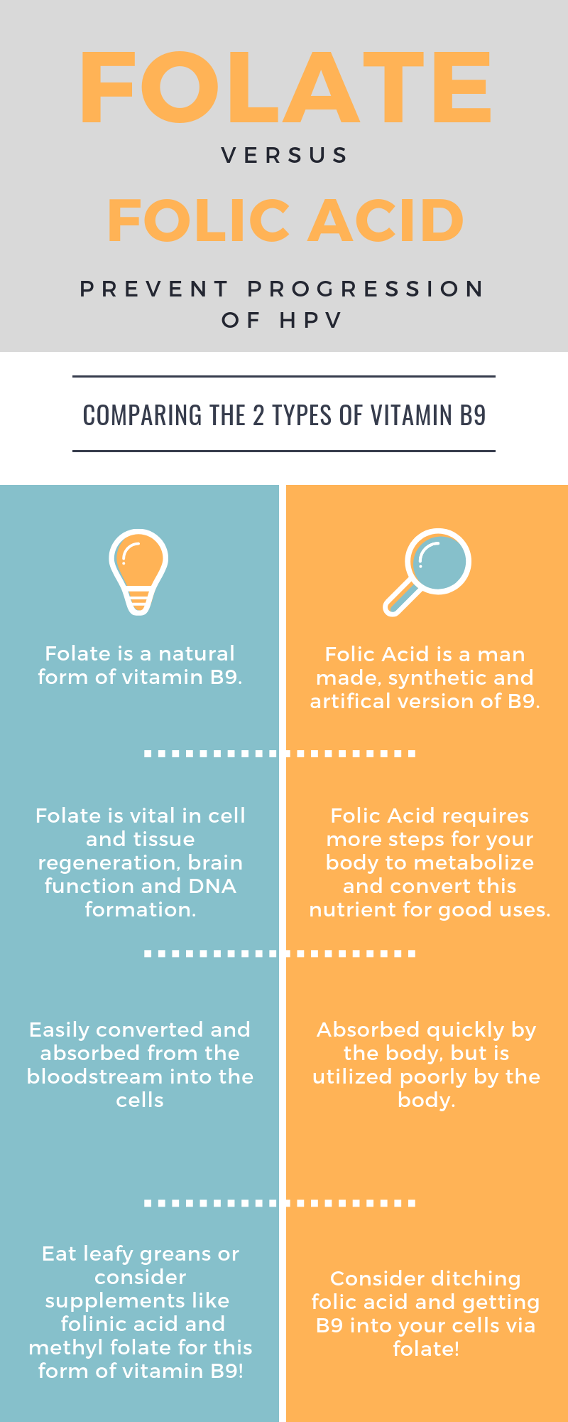 Folate vs folic acid
